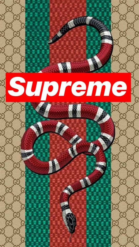 supreme box logo gucci|gucci supreme collab red cherry.